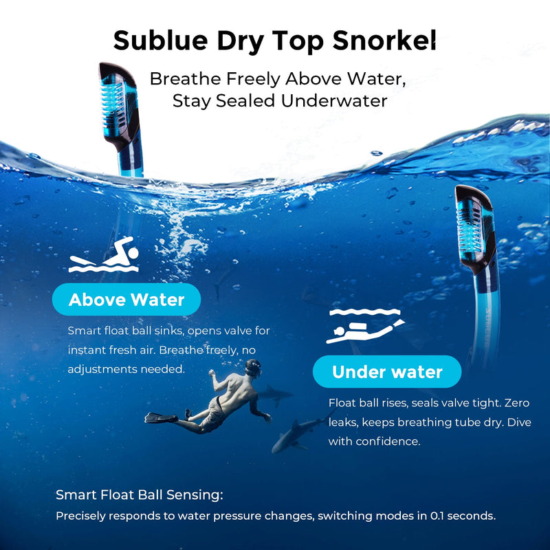 Load image into Gallery viewer, Dive Mask + Snorkel Set

