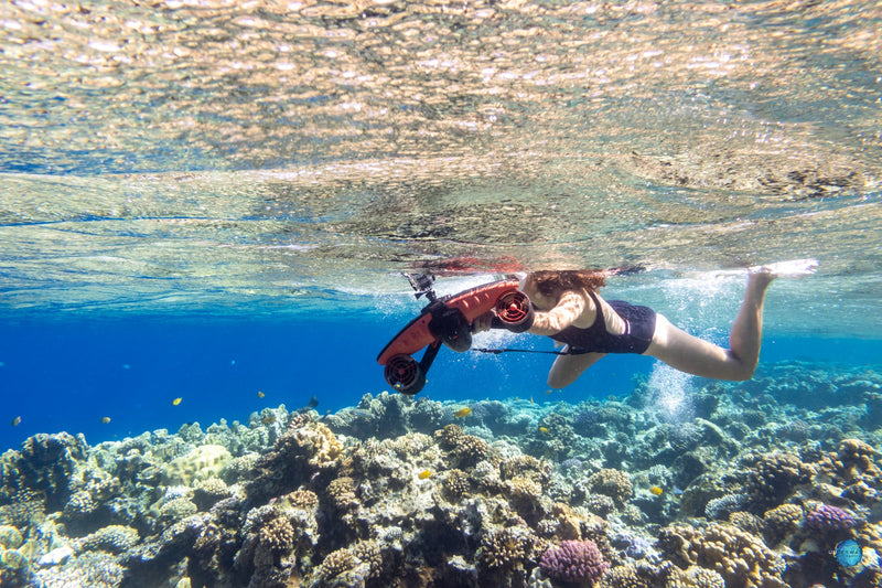 Load image into Gallery viewer, Navbow / Navbow+ / Tini  / Vapor Diving Cross Strap
