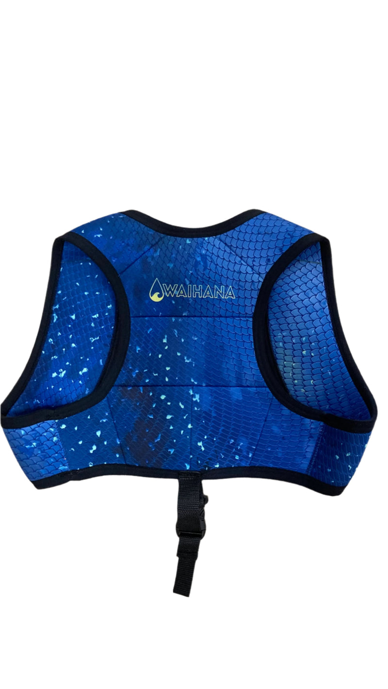 Load image into Gallery viewer, Freediving Weight Vest
