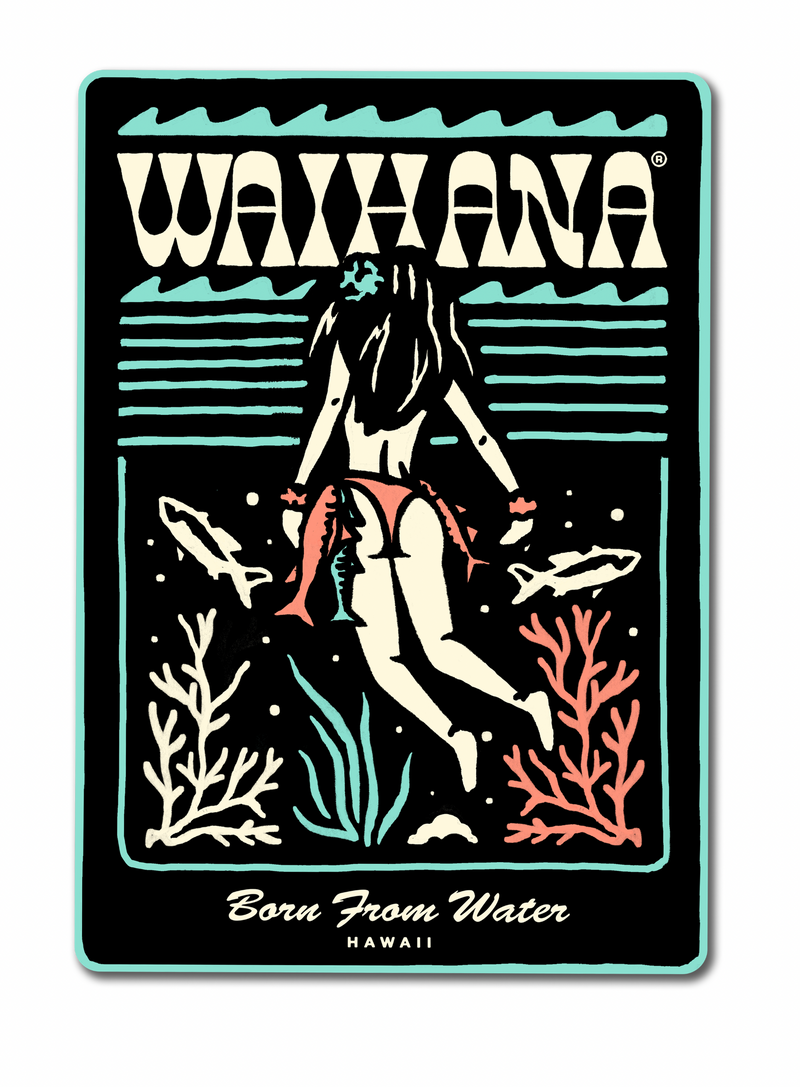 Load image into Gallery viewer, Hula Diver Sticker II
